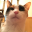 @taichikume