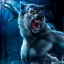 @lycanlupus
