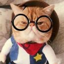 @GitHub-Pan