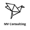 @MV-Consulting