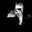 @ryoppippi-bug-repro