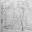 @hori1537