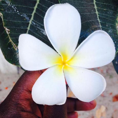 View maynalysa's full-sized avatar