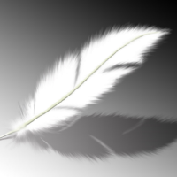 @feather-team
