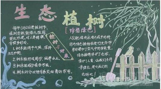 爱护环境我最行黑板报