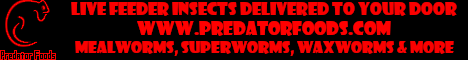 Click here for Predator Foods