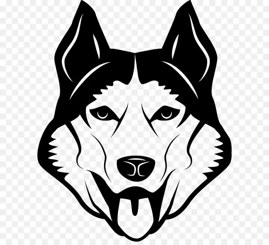 Illustrazione del volto del cane Husky