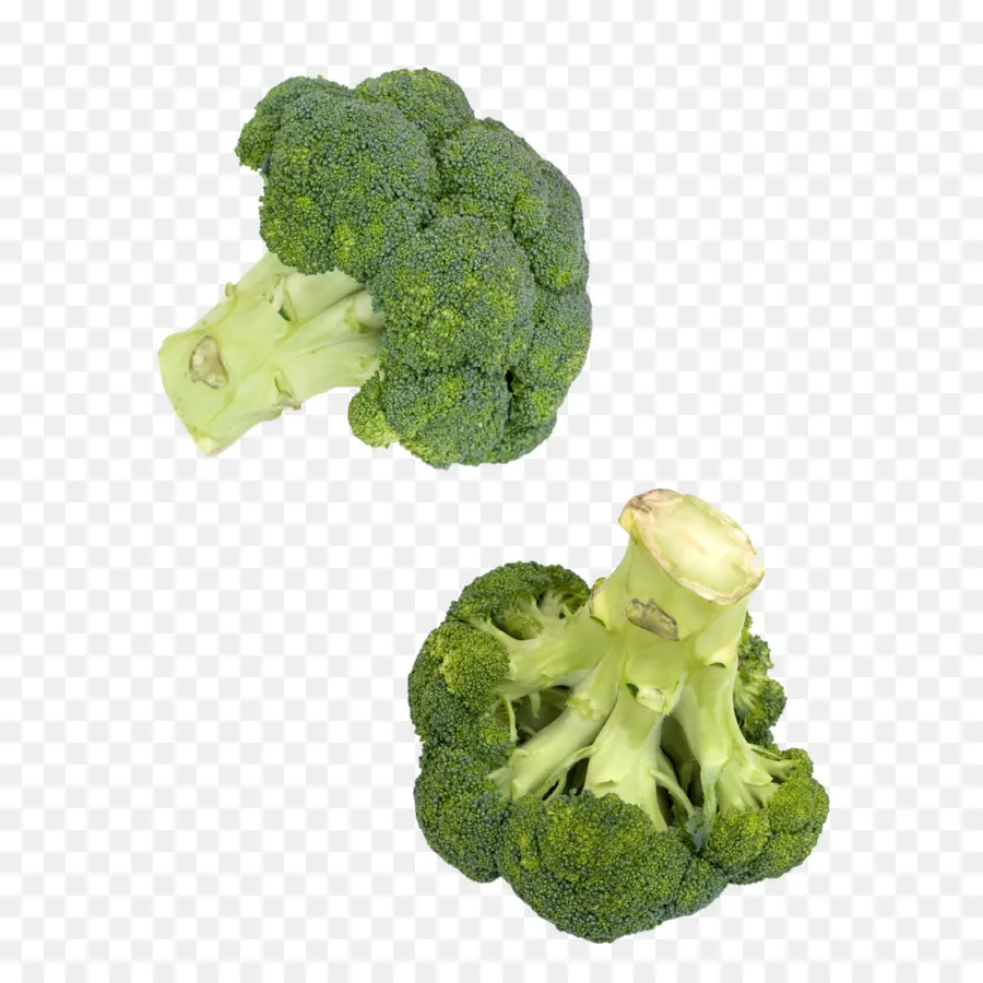 Illustrazione di broccoli freschi