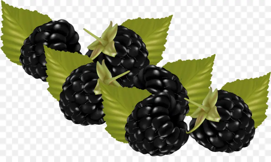 Blackberries tươi với lá