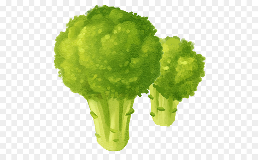 Broccoli verdi freschi