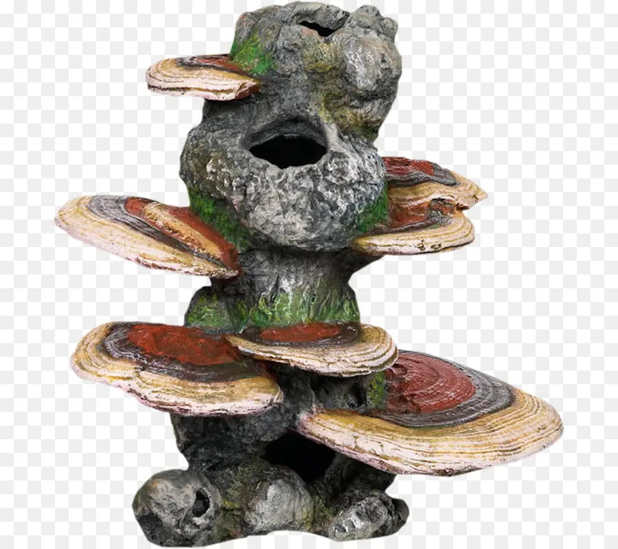 Scultura di funghi in pietra