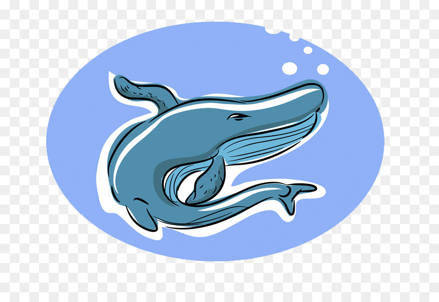 Dolphin Squalo Balena Illustrazione