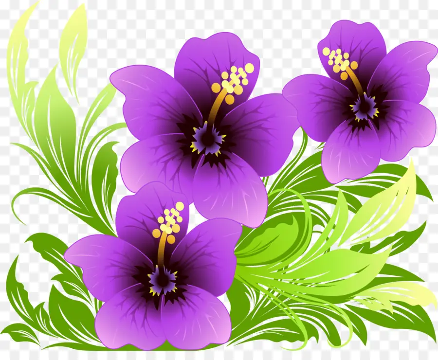 Bellissimi fiori viola con foglie verdi