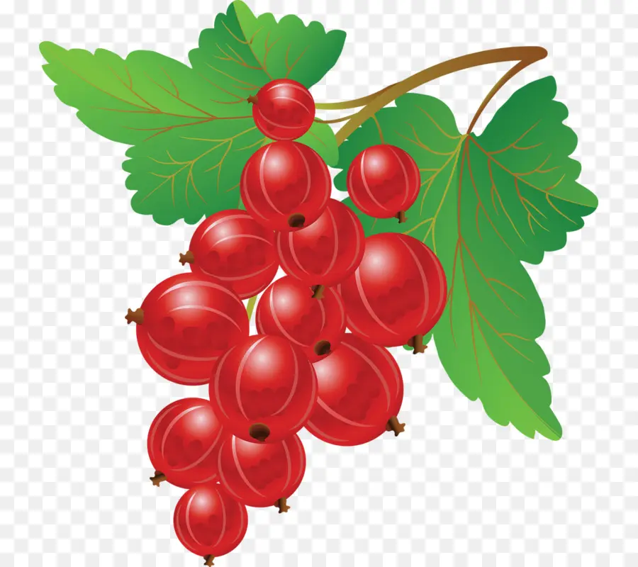 Rote Beeren mit grünen Blättern