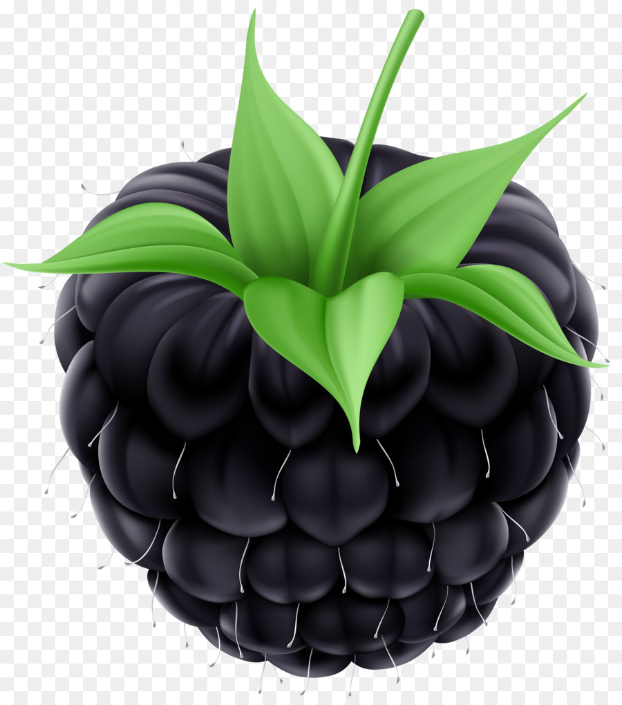 Blackberry Obst Clip art