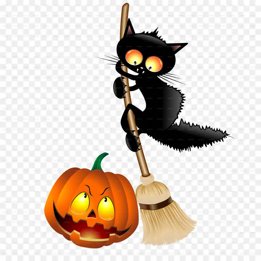 Gatto di Halloween sulla scopa con zucca