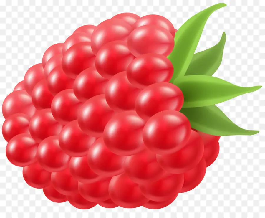 Himbeer-Frucht-Kalk-clipart