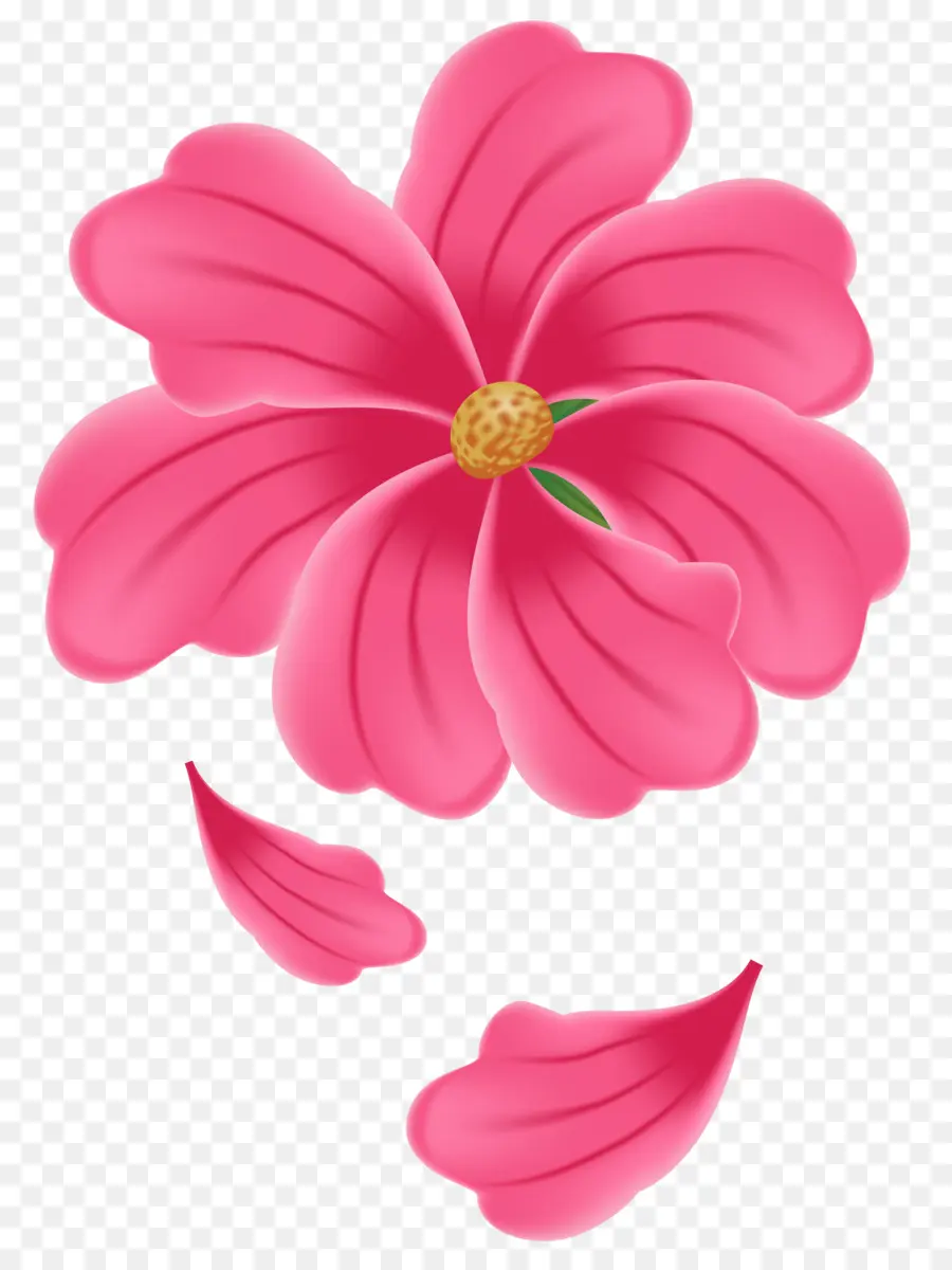 Fiore Rosa, Lilium Clip art