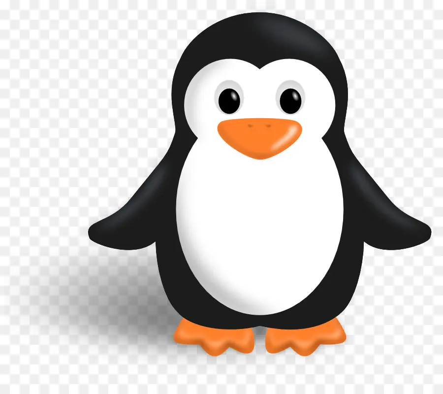 Cute Black and White Penguin