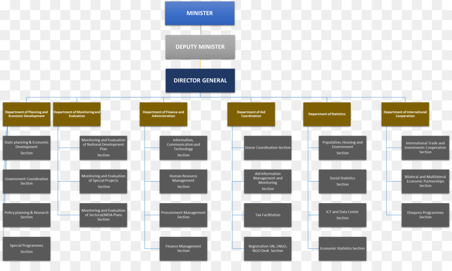 Illustrazione dell'organigramma