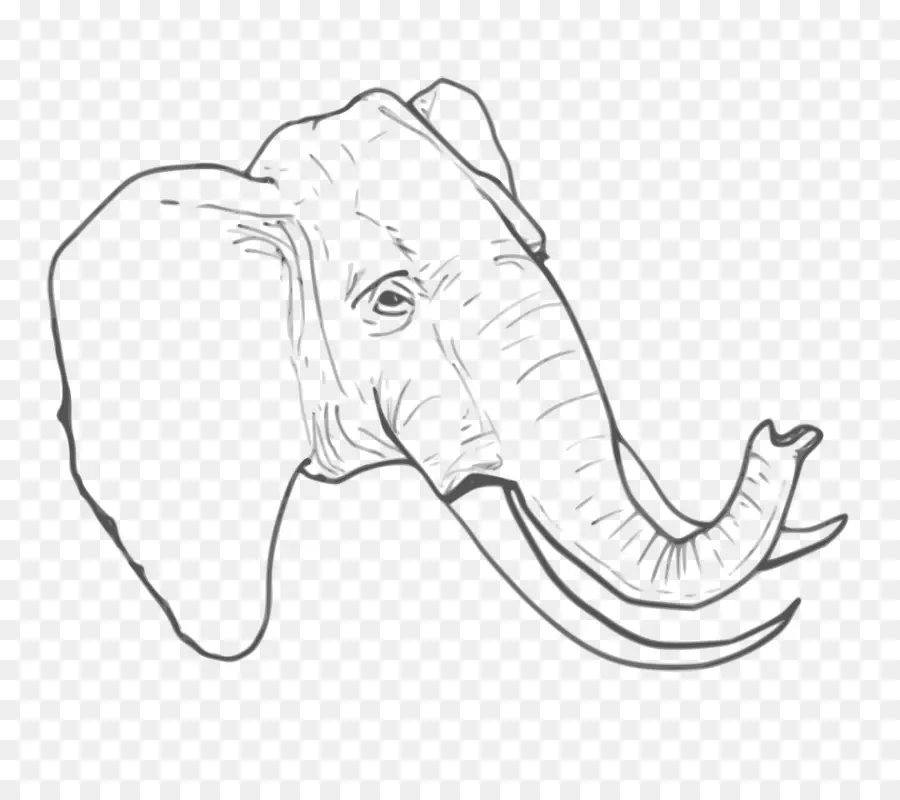 Illustrazione di arte della linea dell'elefante