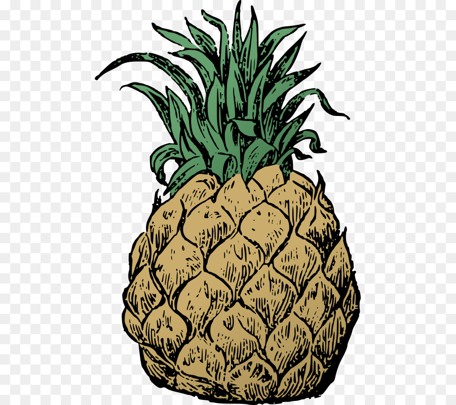 Ananas Essen Clip art