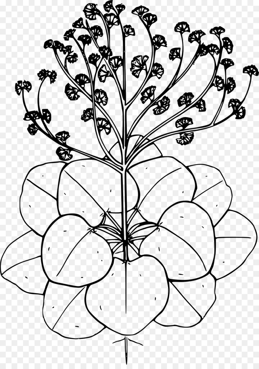 Zeichnung Blumen Linie Kunst clipart