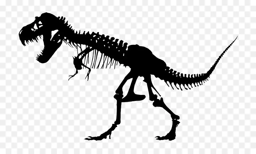 Bộ xương khủng long T-Rex