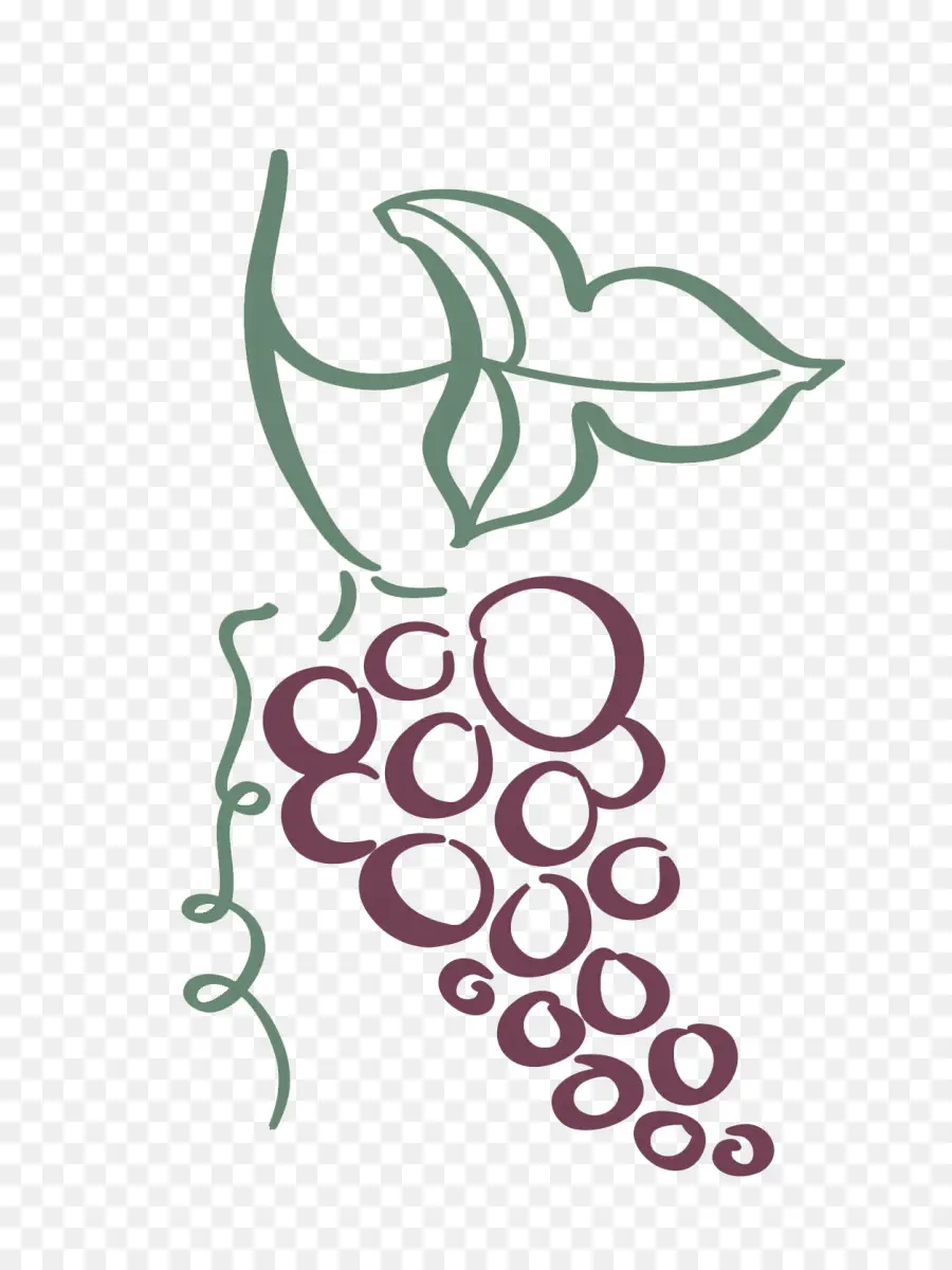 Grapes and Vine Illustration