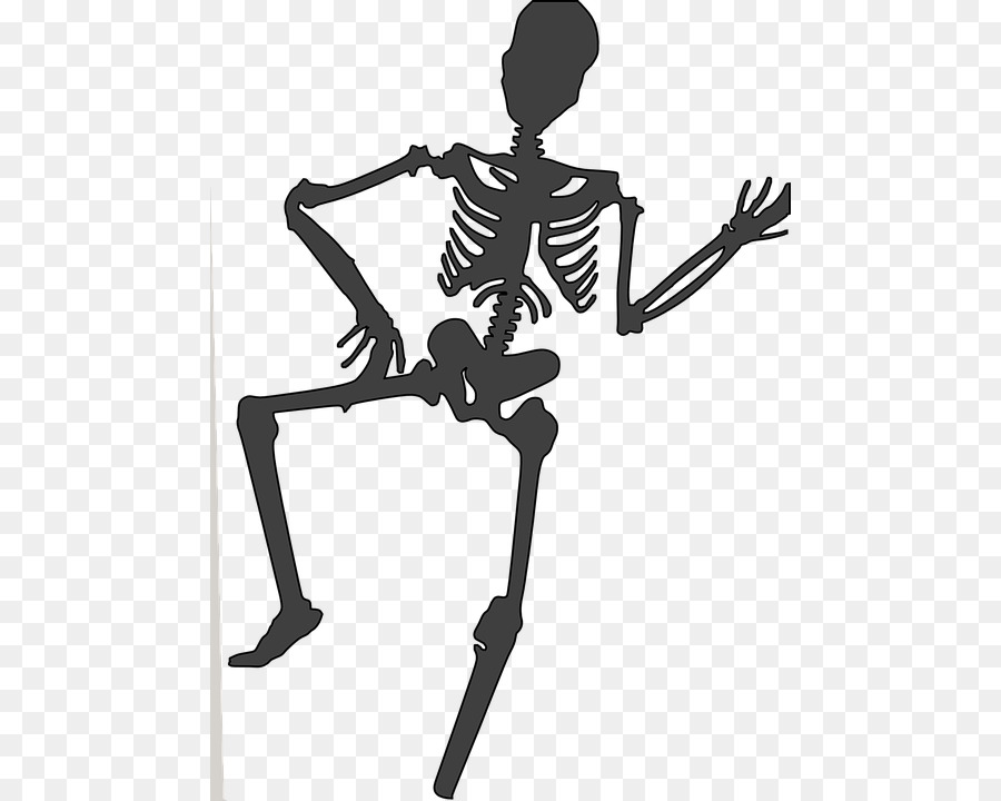 Human Skeleton Clip Art