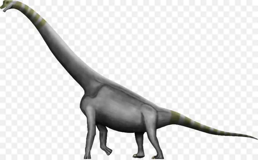 Dinosauro dal collo lungo