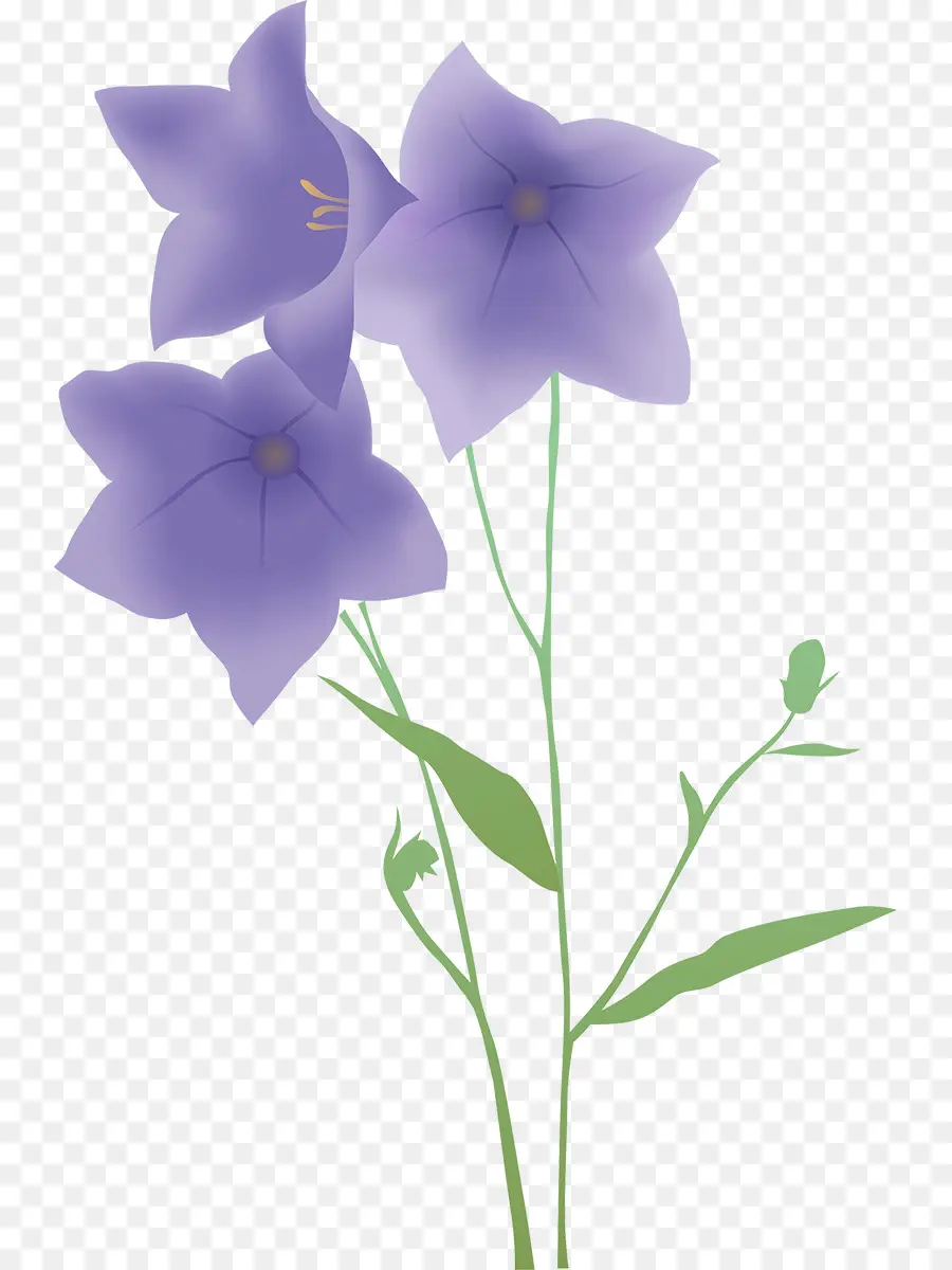 Illustrazione di fiori viola