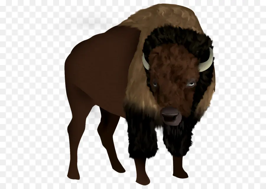 Illustrierter Bison