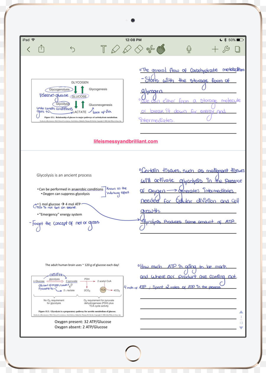 Nota-l'assunzione di un programma di Computer College Portatile