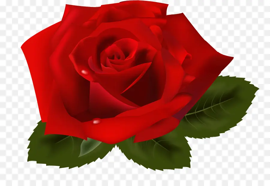 Rose rosse con cuori per San Valentino