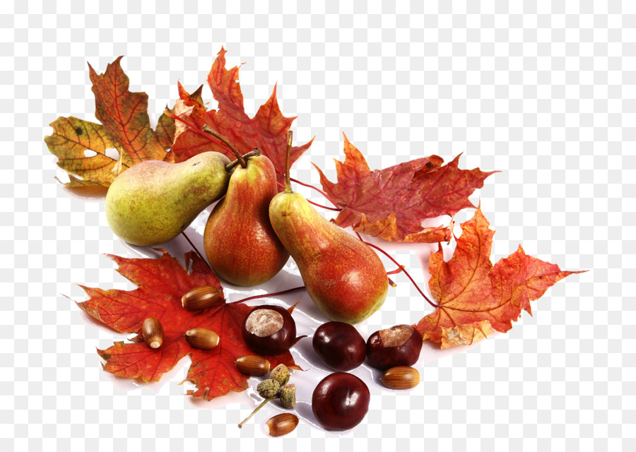 Herbst Computer-Icons Frucht