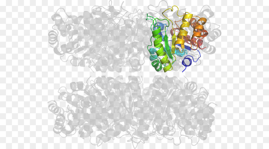 Struttura delle proteine ​​per la ricerca scientifica