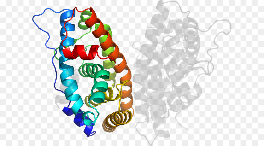 Sơ đồ cấu trúc protein phức tạp