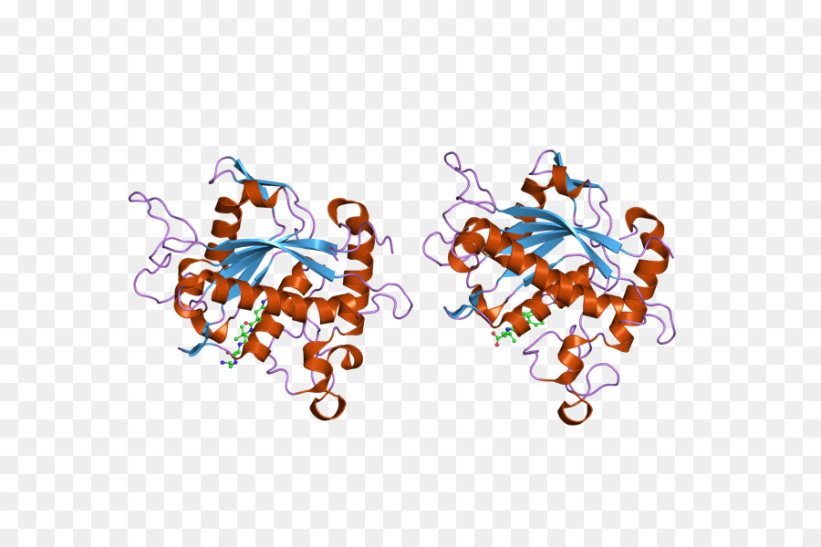 Komplexe Proteinstruktur-Illustration