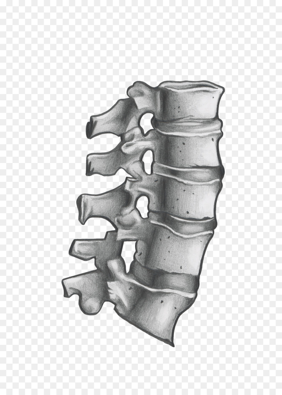 Neurochirurgia Greater Houston colonna Vertebrale Innovazione