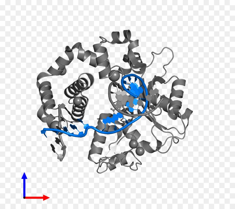 Minh họa cấu trúc protein phức tạp