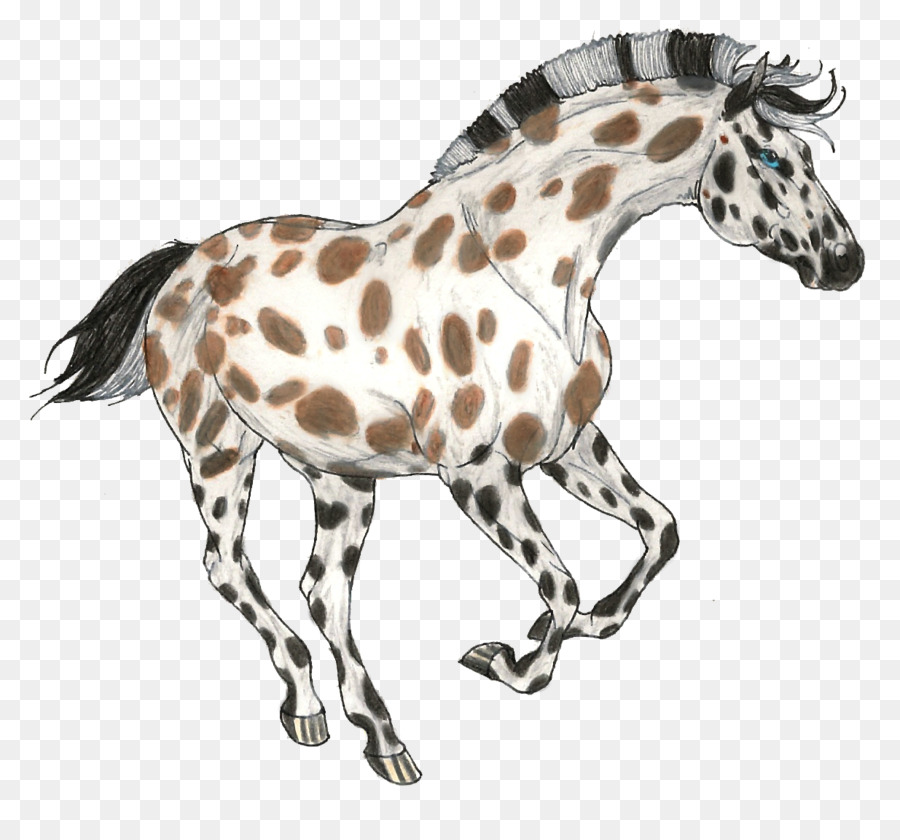 Puledro Giraffa Mustang Arabian horse Pony