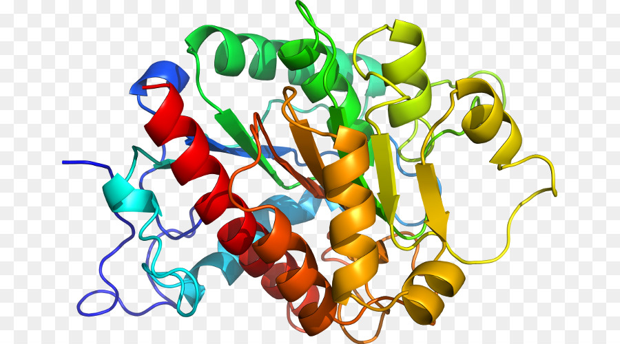 Cấu trúc protein đầy màu sắc