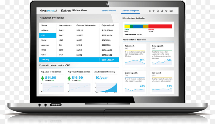 Computer-Programm-Churn-rate, Customer lifetime value Business