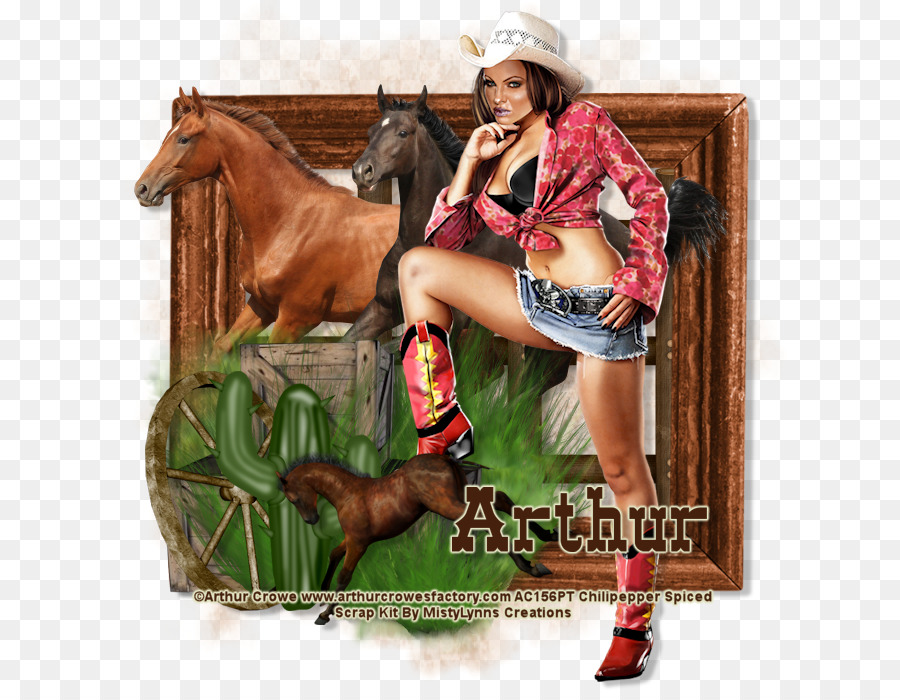 Kiềm Chế Ngựa Dây Kiềm Chế Cowboy