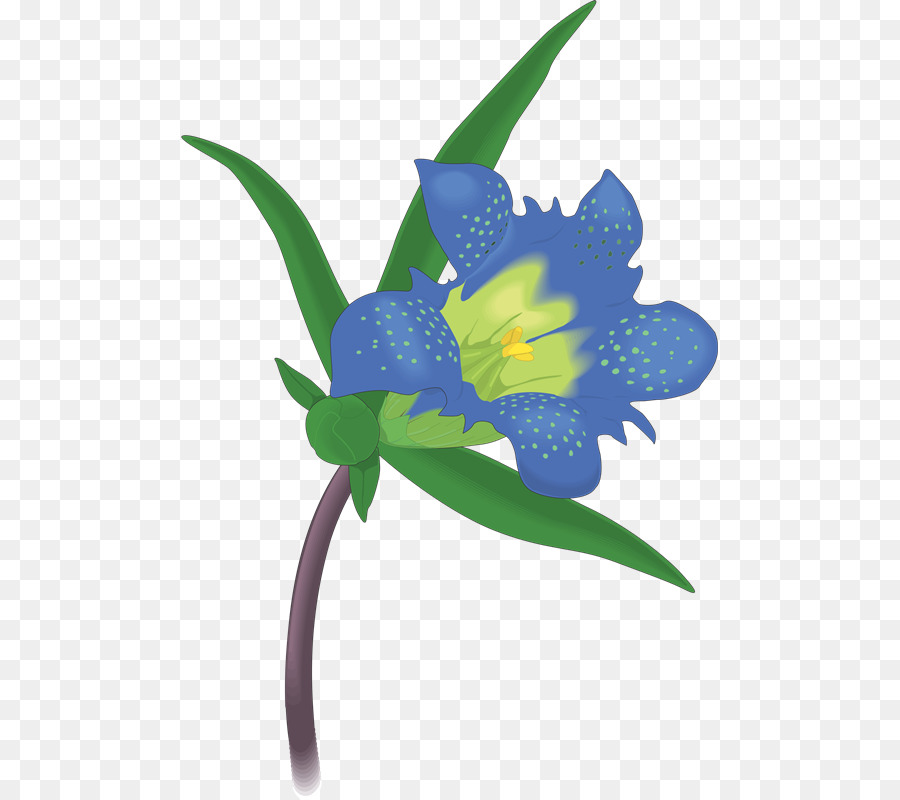 Texas bluebell Royalty-free Disegno Clip art