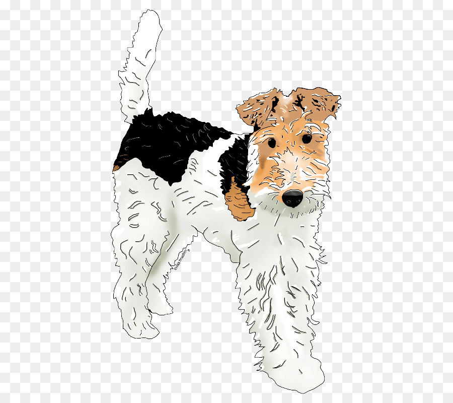 Draht Haar Fox Terrier hundezucht Begleithund