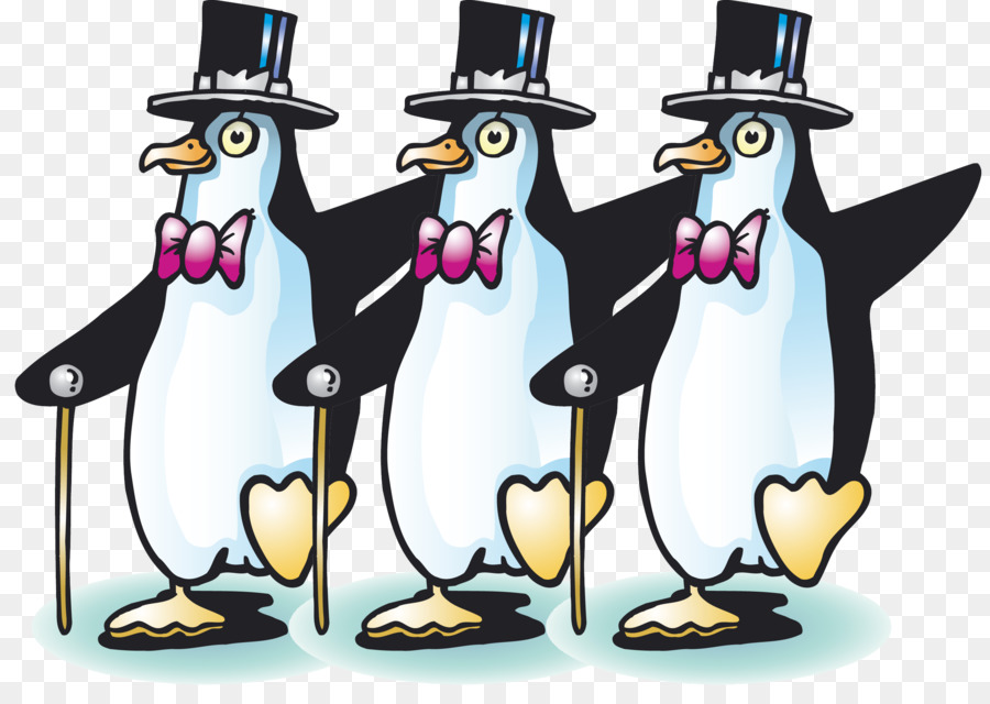 Pinguino Gazze Marine Cartoon Becco