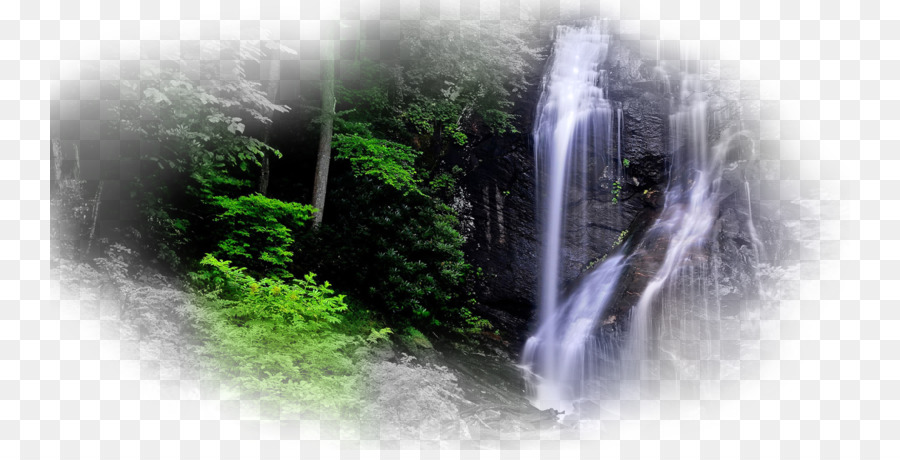 Ruhiger Wasserfall in einem üppigen Wald