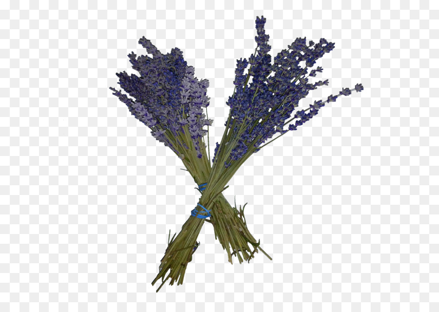 Bellissimo bouquet di lavanda